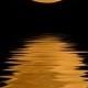 Honeymoon