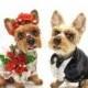 Pets In Wedding