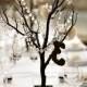 Decoration Ideas