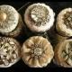 Special Wedding Cupcake Decorating | Kisiye Ozel Butik Dugun Cupcake'leri