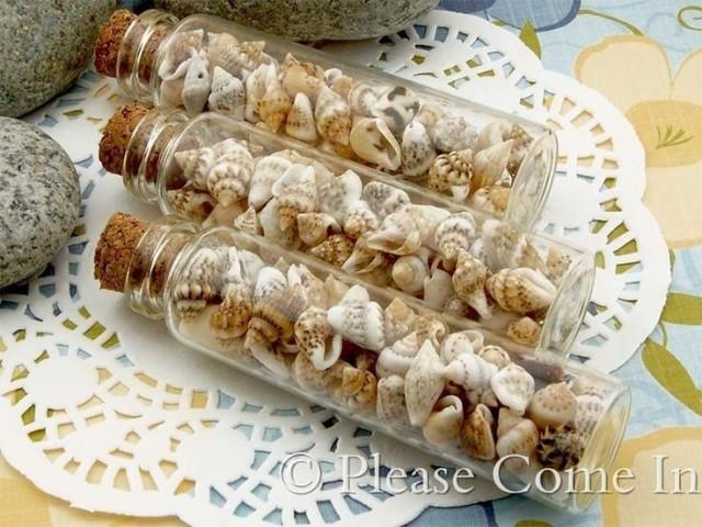 wedding photo - 3 Glass Vial 70mm X 18mm (13ml) With 150pcs Mini Seashell Wedding/Party Favours