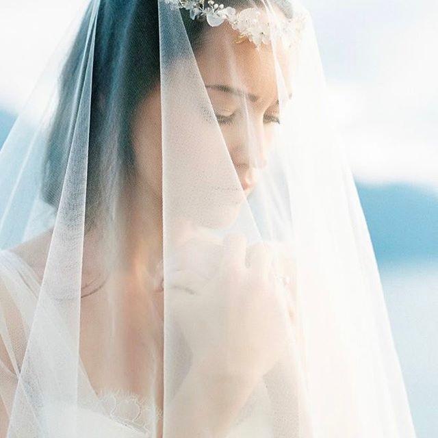 wedding photo - Wedding Sparrow