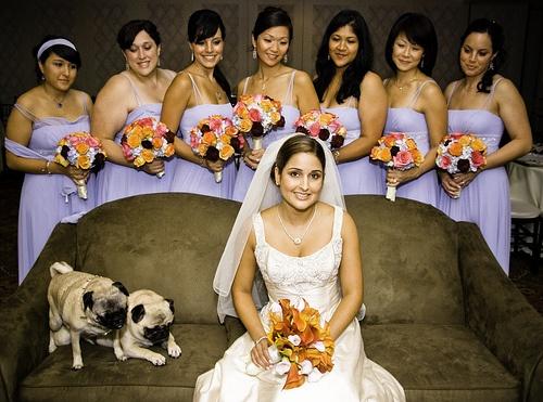 Hochzeit - Haustiere In Wedding
