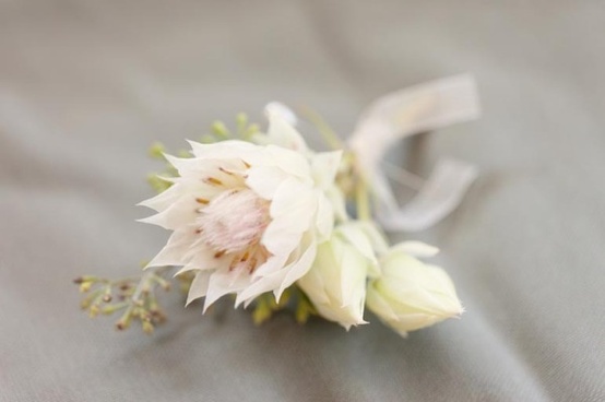 Wedding - White boutonnieres for grooms on their wedding
