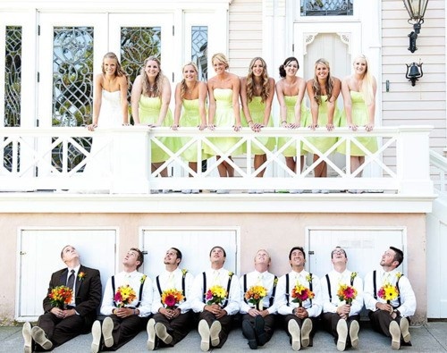 زفاف - تصوير حفل زفاف