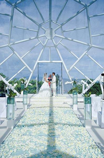 Wedding - MY DREAM WEDDING