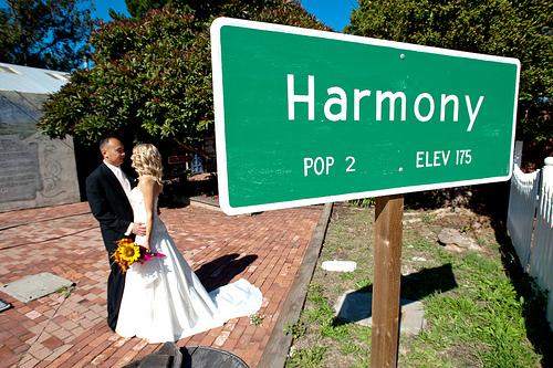 Hochzeit - Harmonie