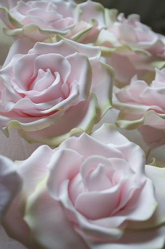 زفاف - الحلو أفالانش السكر الورود