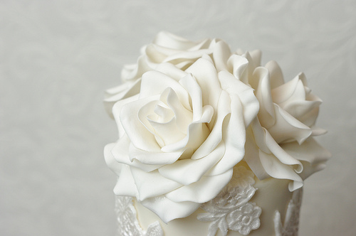 Mariage - Rsoes et dentelle, Roses Close Up