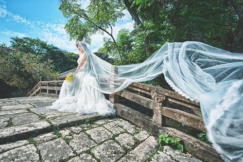 زفاف - [الزفاف] في الريح