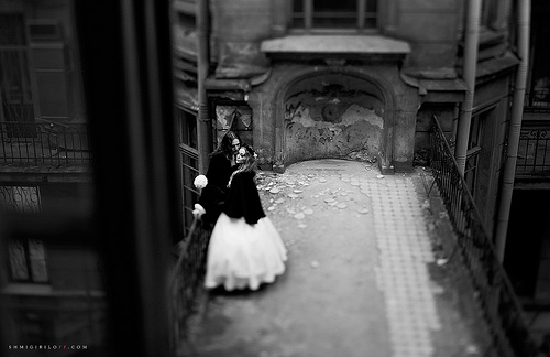 Wedding - Wedding In Saint-Petersburg, Gothic Russia