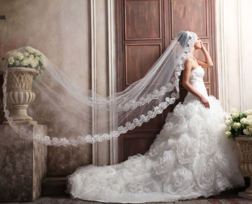 Wedding - 118 meters floor length veil with the strapless gown