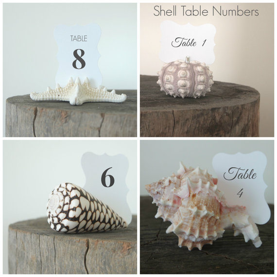 Hochzeit - CUSTOM ORDER -- for Lassanee -- 6 Table Number Shells (3 x  #4  and 3 x # 6) - New