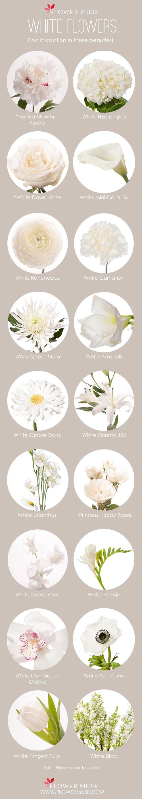 Hochzeit - Our Favorite: White Flowers - Flower Muse Blog