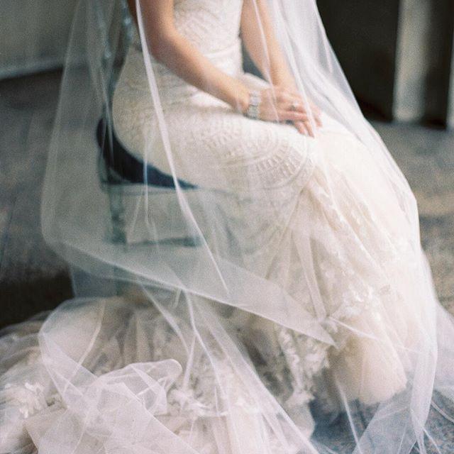 زفاف - Abby Jiu