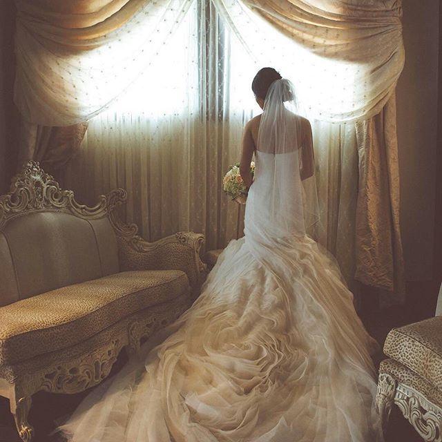زفاف - David's Bridal