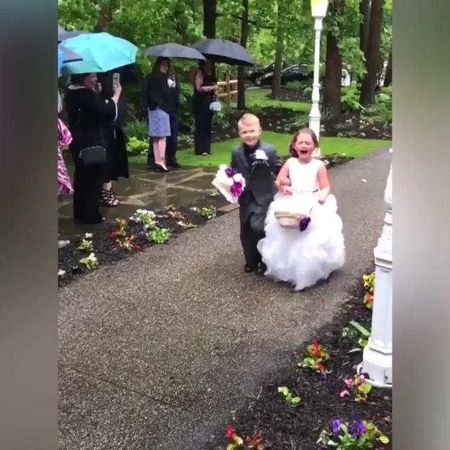 Hochzeit - Wedding 