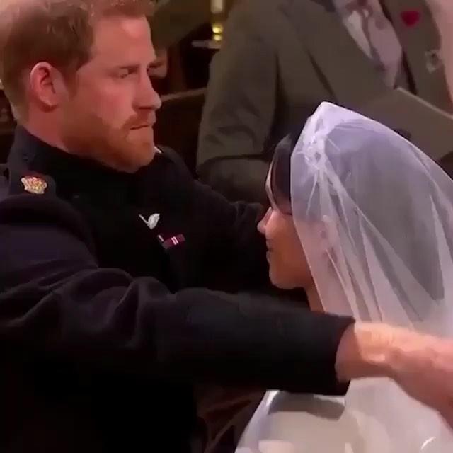 زفاف - Wedding 