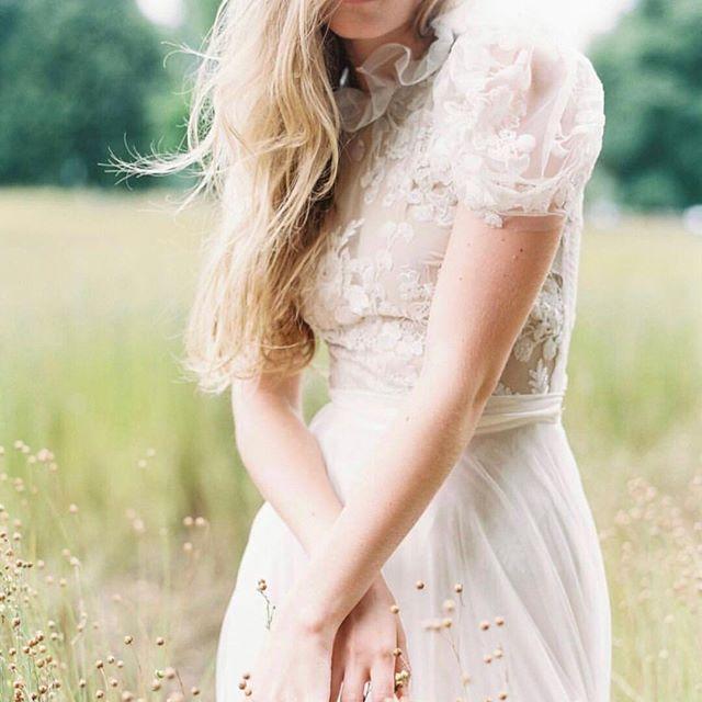 Wedding - Sara Russell 