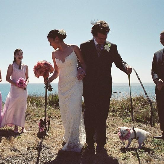 Свадьба - С домашних животных