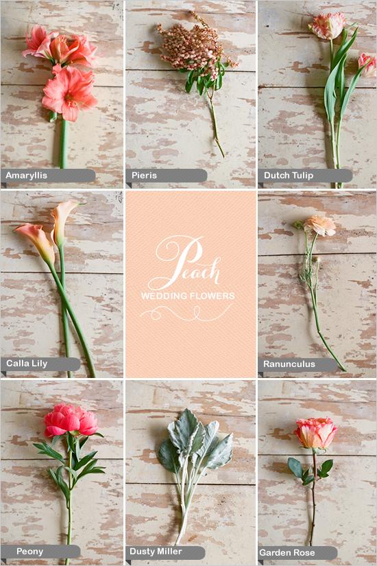 Wedding - Peach Wedding Flowers