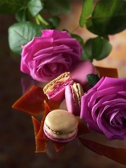 image of Fuchsia Wedding favors