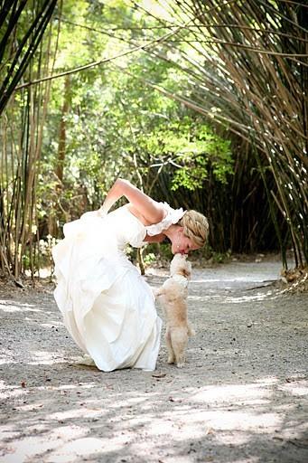 Hochzeit - Unique Wedding Photography ♥ Cute Wedding Photography