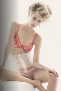 wedding photo -  Lingerie
