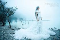 wedding photo - dream dress