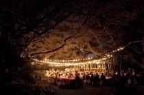 wedding photo -  Wedding Photography