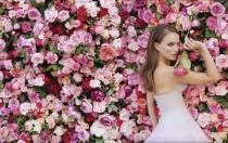 wedding photo -  Wedding Photography Ideas