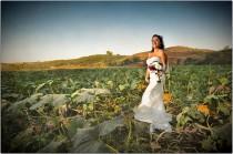 wedding photo - Little Miss Citrouille