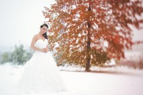 wedding photo - En hiver le temps de chute.