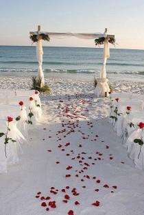 wedding photo - White Wedding On White Sand 