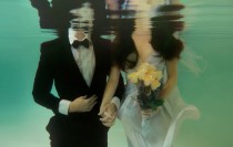 wedding photo -  Underwater / Wedding Photo 