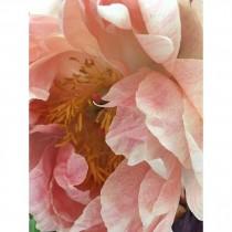 Poppies & Posies wedding photo - Poppies & Posies