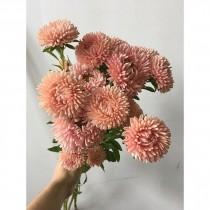 Poppies & Posies wedding photo - Poppies & Posies