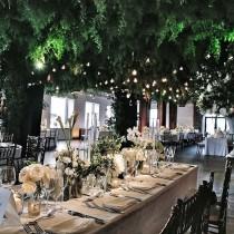 Mindy Weiss wedding photo - Mindy Weiss