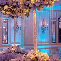 Amaryllis Inc. wedding photo - Amaryllis Inc.