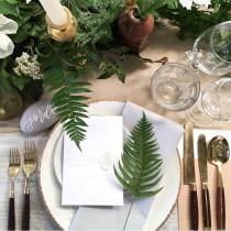 Wedding Ideas wedding photo - Wedding Ideas