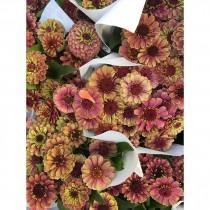 Poppies & Posies wedding photo - Poppies & Posies