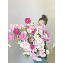 Poppies & Posies wedding photo - Poppies & Posies