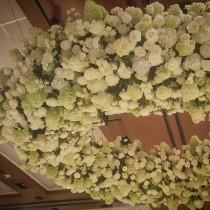 Amaryllis Inc. wedding photo - Amaryllis Inc.