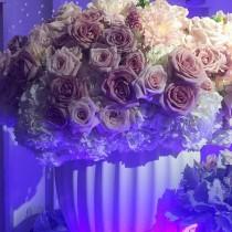 Mindy Weiss wedding photo - Mindy Weiss
