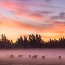 Best Places To Go wedding photo - Best Places To Go
