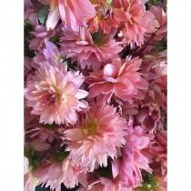 Poppies & Posies wedding photo - Poppies & Posies