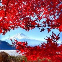 Best Places To Go wedding photo - Best Places To Go