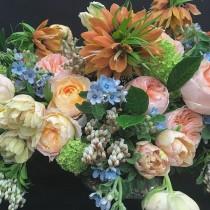 Amaryllis Inc. wedding photo - Amaryllis Inc.