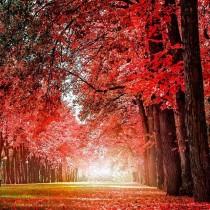 Wonderful Places wedding photo - Wonderful Places