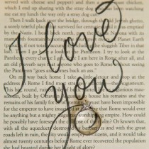 Wedding Ideas wedding photo - Wedding Ideas